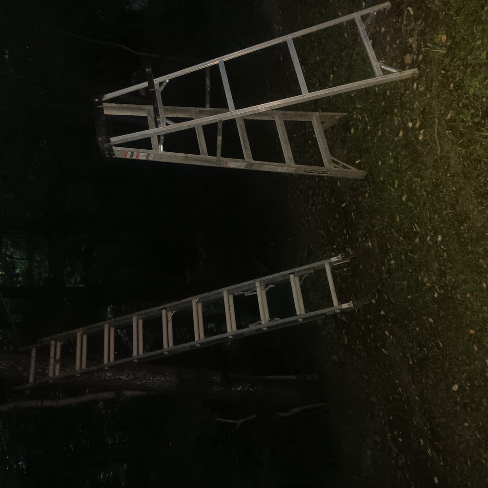 Sturdy Metal Ladder